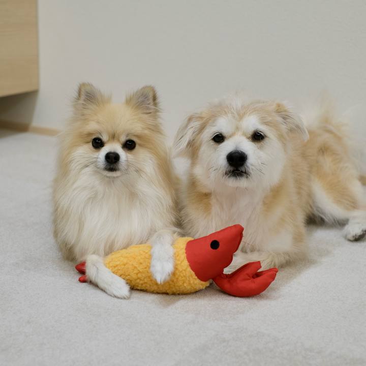 82df30f1 0c08 45ef 8331 6688c409f686 1766441693064