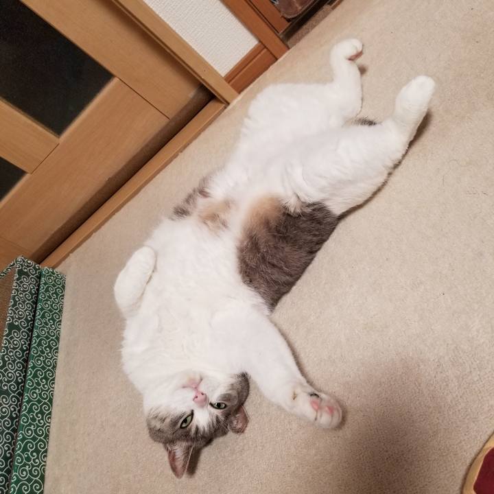 82df4295 4cf1 4e45 8e5a 1f070541d45f 1658736688934