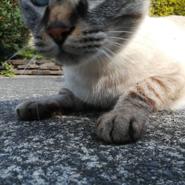 82df56dd 6e63 4d17 ae75 bbbb9aea5023 1543719026912