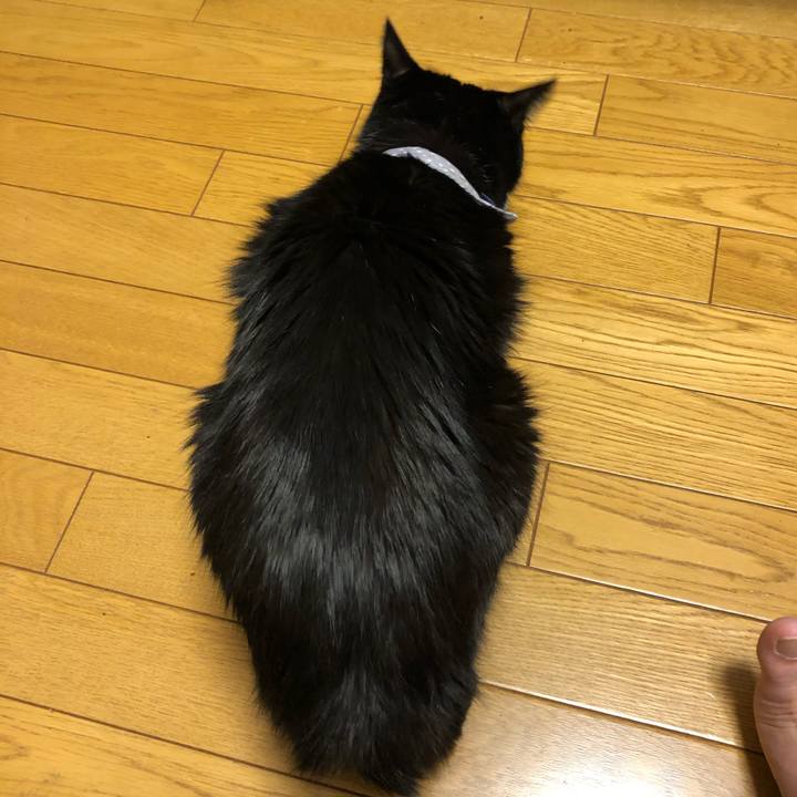 82df77b9 9fe3 47b5 a617 6d2855f0fb02 1573734652353