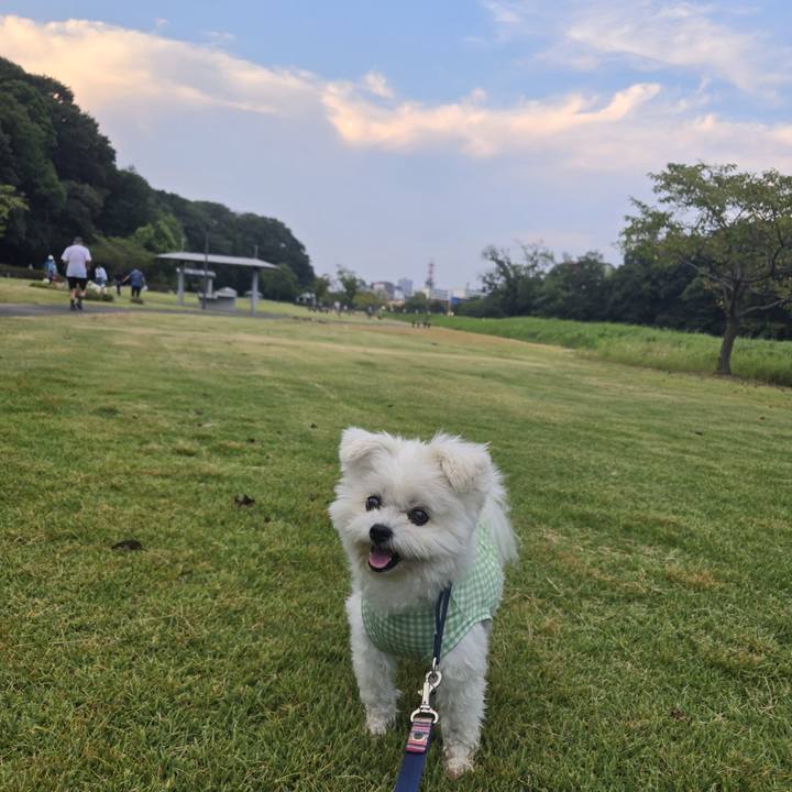 82df791a 3f52 4cc1 818f db05cf6a4175 1756040495267