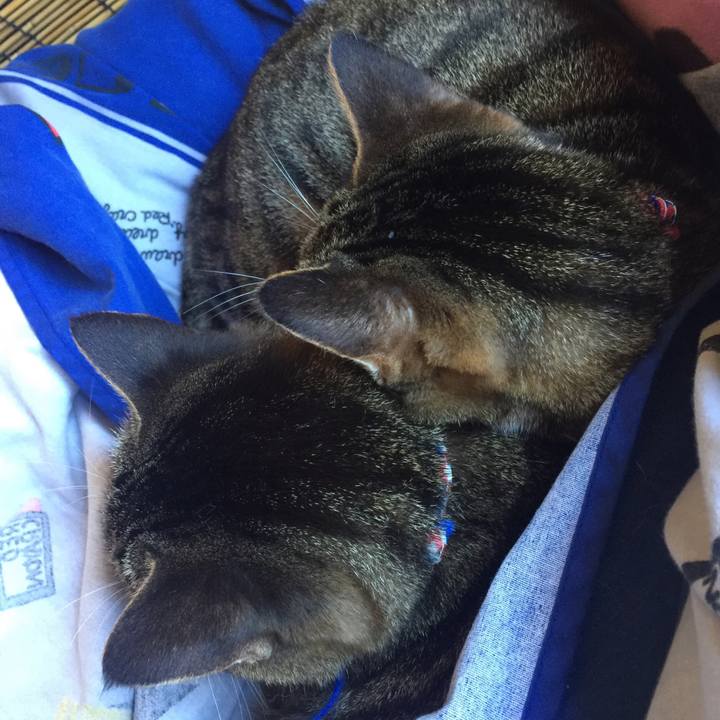 82dfdbf7 9ae8 4df0 b044 abb5ff854ba6 1547127536449