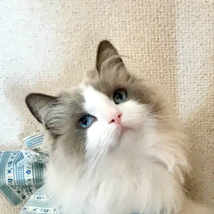 82e0056a d929 4099 8ae8 0f362f118f76 1588512750999