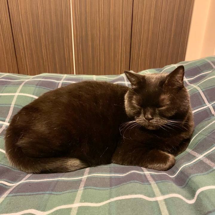 82e00980 982b 44fa a5bb d99540795d11 1646056825612