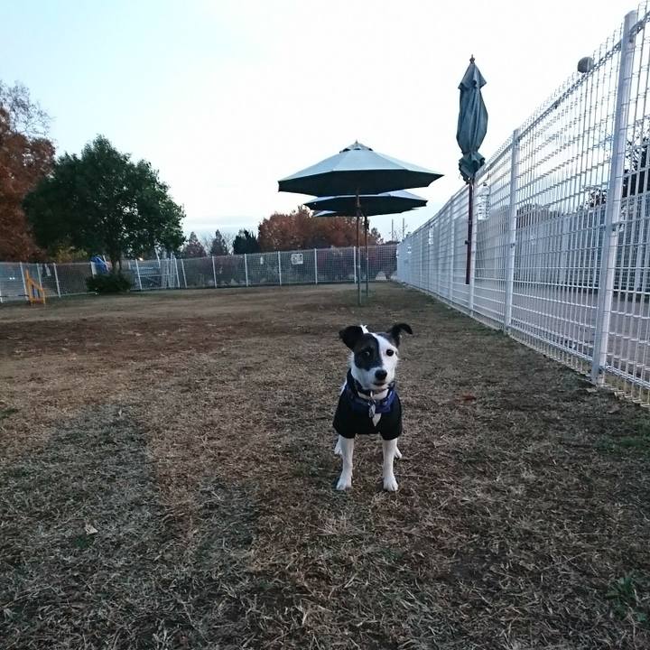 82e054b0 b217 496d b19e b5e90eaf1956 1511942491218