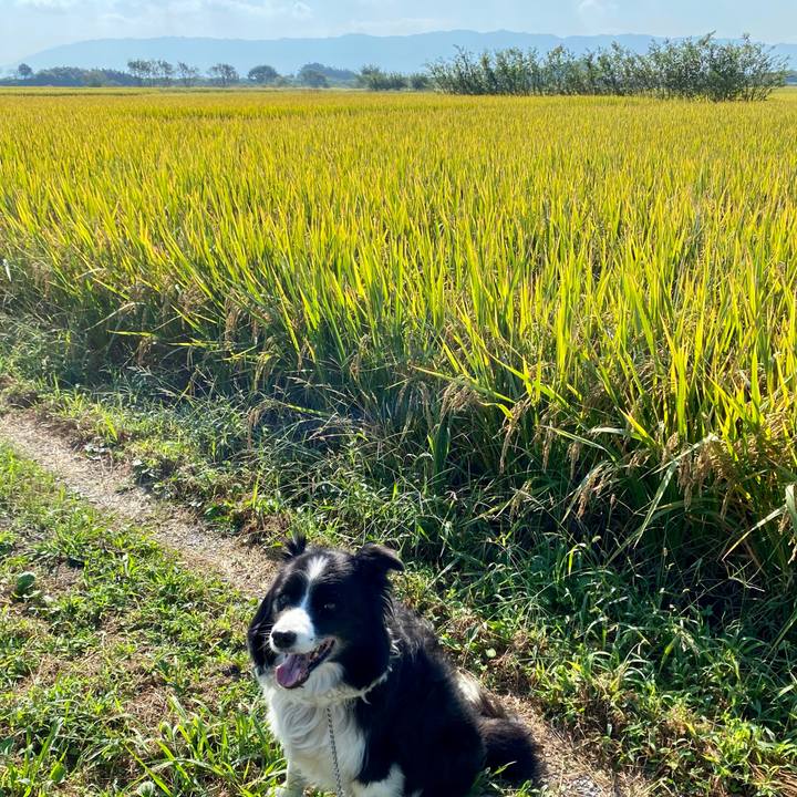 82e05e87 5444 45d0 a4c3 da1f986a3986 1633567354874