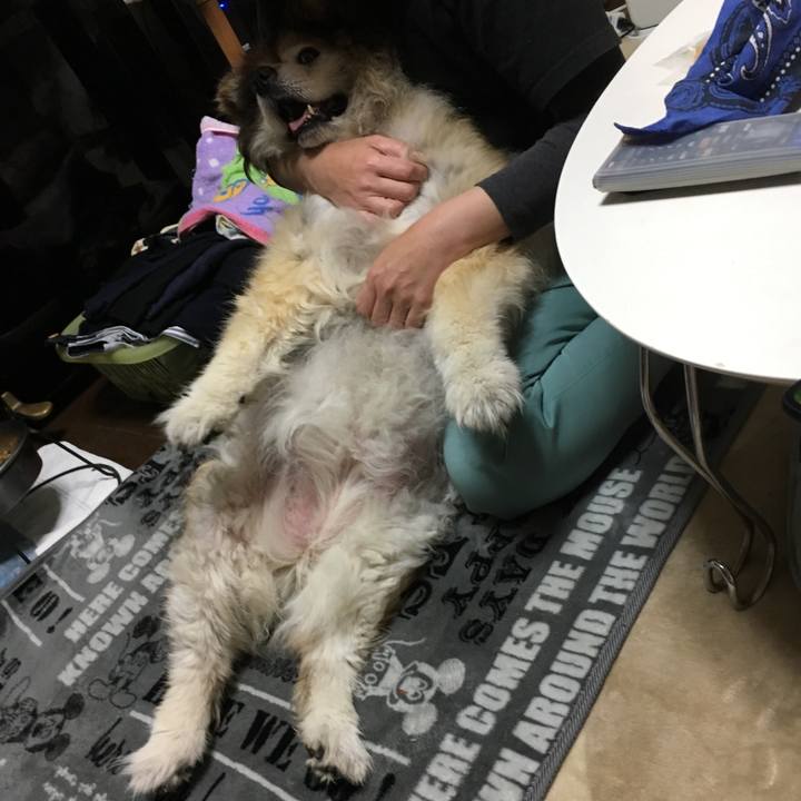 82e07bc4 772d 4d2a bcdf b3add05837e4 1557398585465