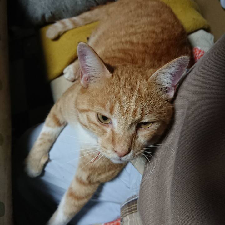 82e0a80f 3919 4b54 acca f68b366d88be 1572126059936