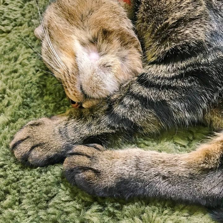 82e0e884 3fda 46f1 97e4 8c98bcb97cbb 1516801041646