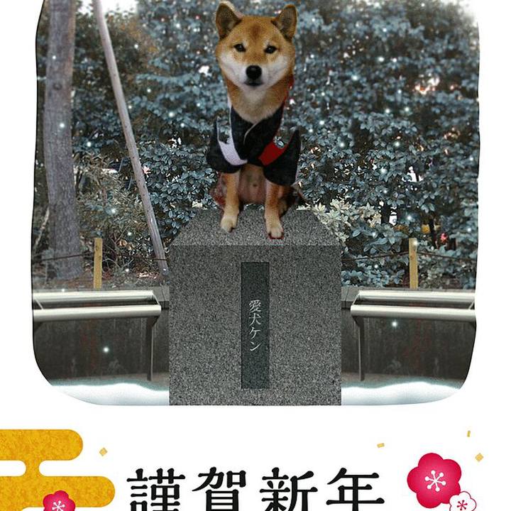 82e13246 f4f4 4df7 8ffd 5416f1788d25 1513782462766