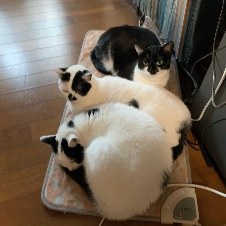 82e15c40 ab3e 4c7f 86f3 6c9881f38c63 1604186390608