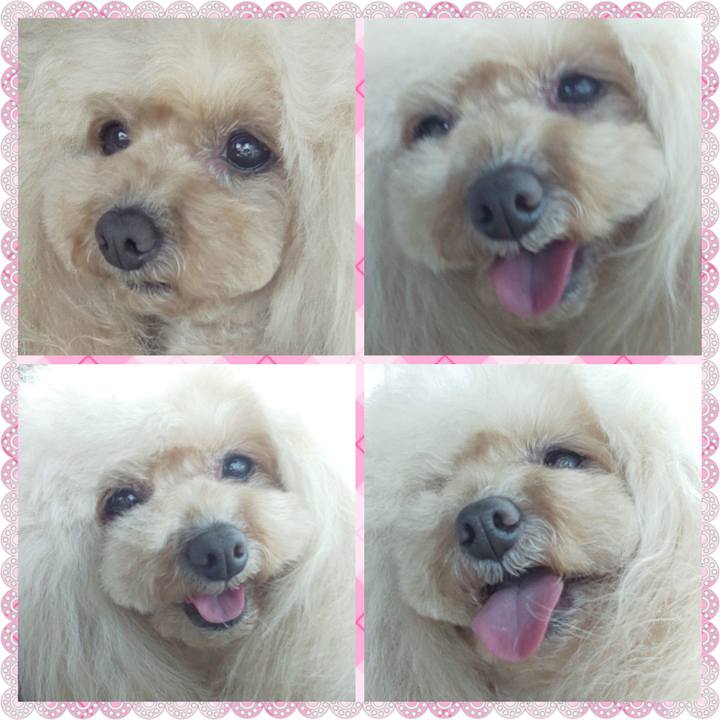 82e16178 949e 42b0 b73e ecc2f1e3db87 1650442791323