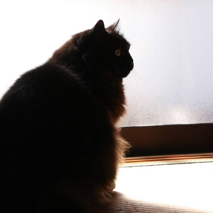 82e18386 ec8b 469e b024 c1cdc2a5a827 1512355431711