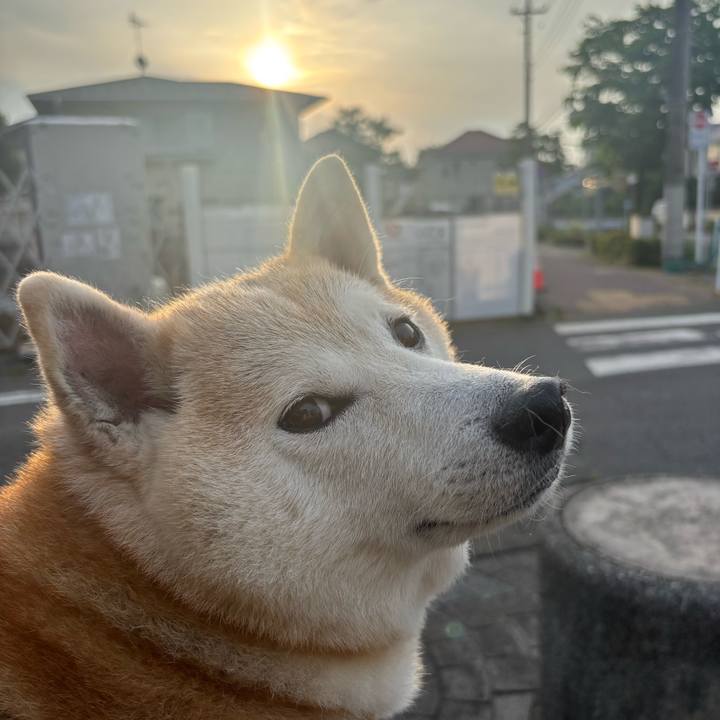 82e1b7e1 0a1a 4240 b61e 4d0d8480d0c9 1747429755331