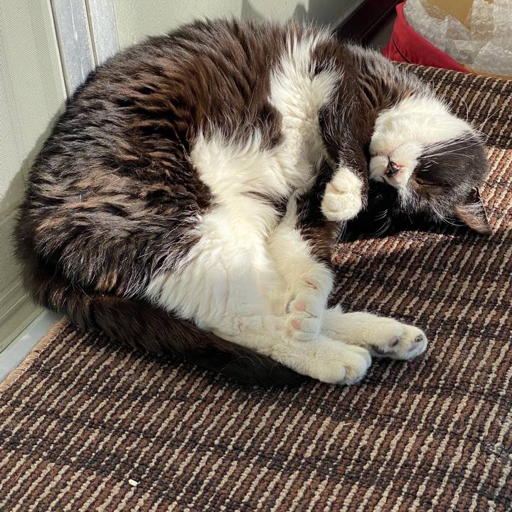 82e2231a 500d 45f4 a74e a608d2b8645e 1609651092948