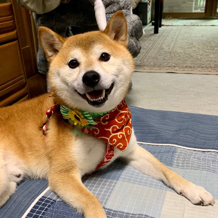 82e25d93 9a23 4842 ab6e 492f8c8acd86 1565174966579