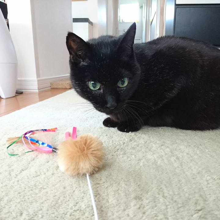 82e28295 e66f 43f6 9c66 e7443c7eb0aa 1583671811483