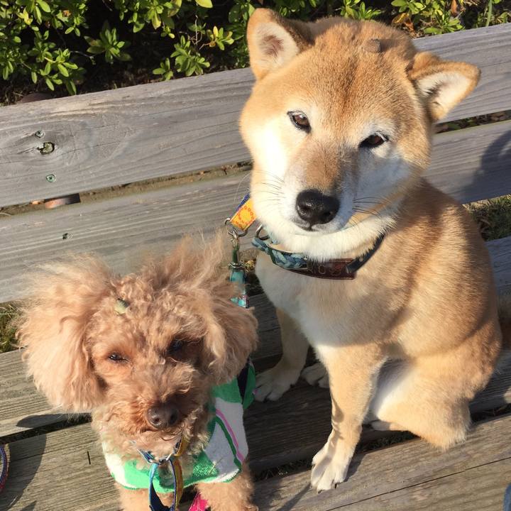 82e2bcfe 1145 4b52 92e6 01f06f021a09 1509621164315