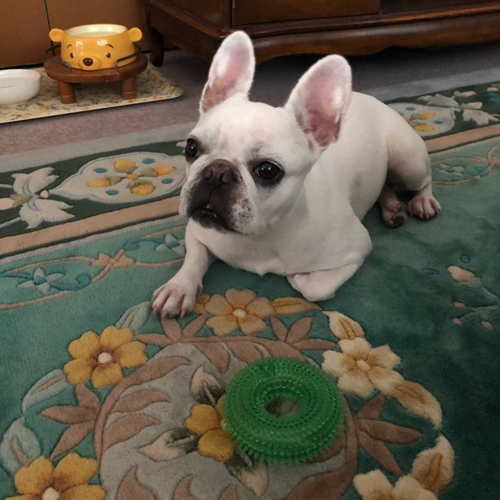 82e2d3ff 33a7 442d 9787 bb2efc60429d 1628321523161