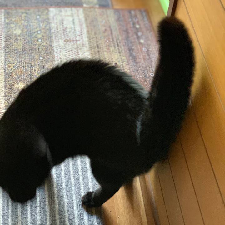 82e2f91d 9f2e 4dcb 997a 3802b354b3db 1553475009216