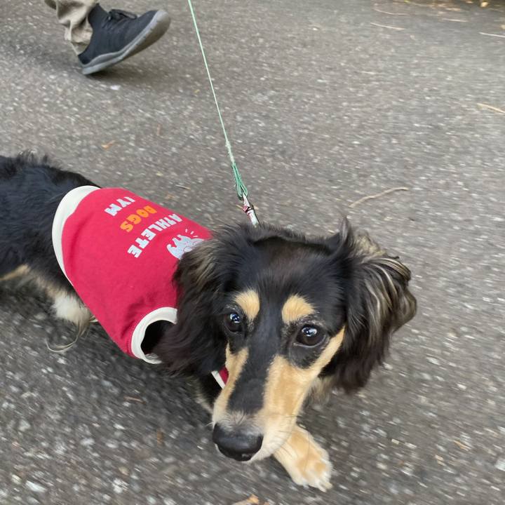 82e2ff32 7cf5 4f7b a68d 77039b117942 1684365817032