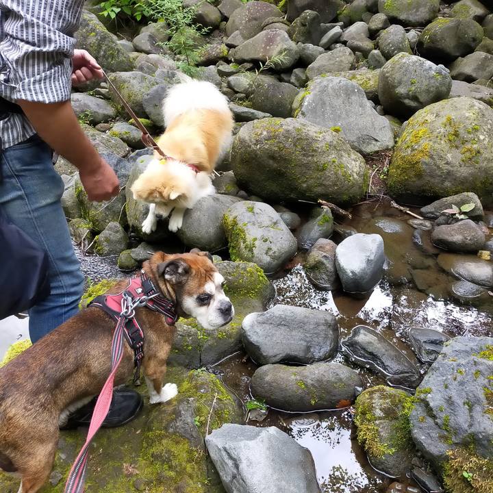 82e33080 9d72 4f1f 88d8 5e1cfb8f09ea 1660570982496