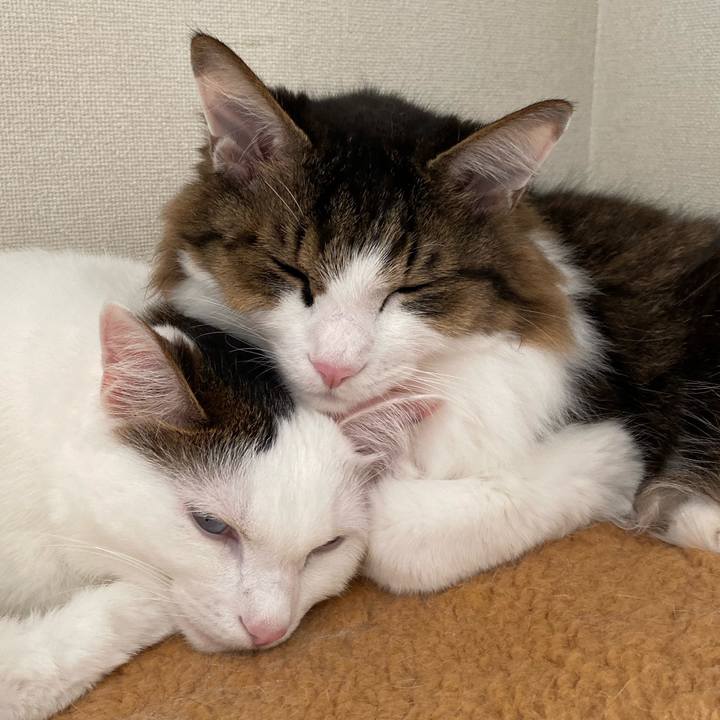 82e35e69 d905 44be 9d58 550c4e89c52d 1574163903152