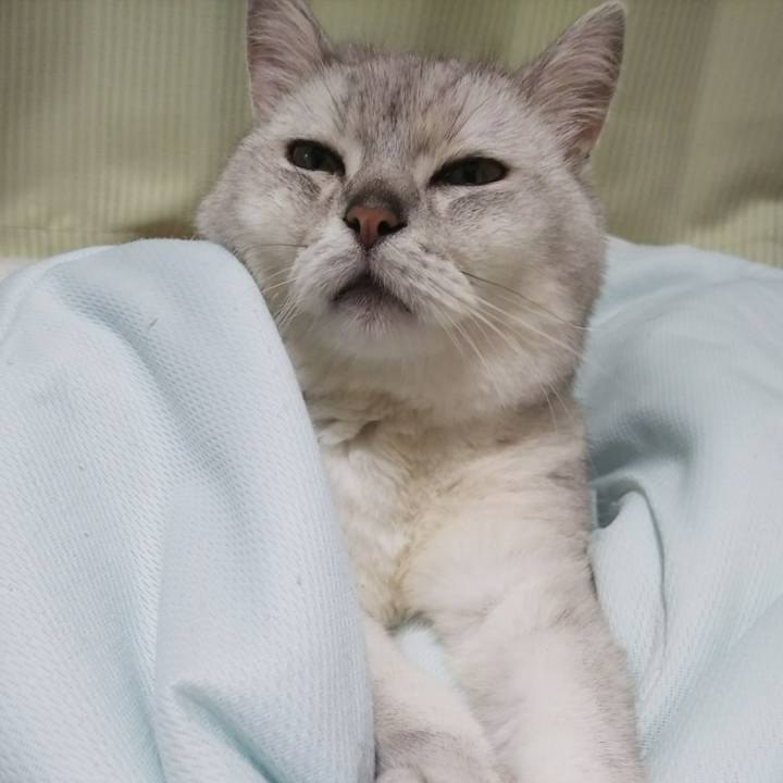 82e36f15 9b4e 4347 a2ba cc920de82a5b 1530114153373