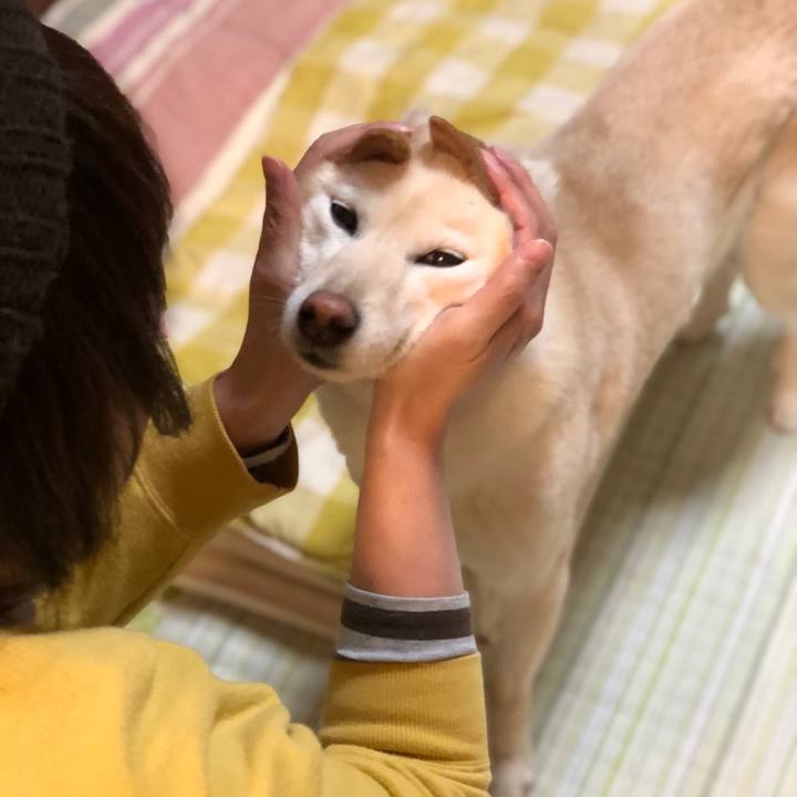 82e38fad 46dc 44ad 924f bf73c815d5ff 1615369540649