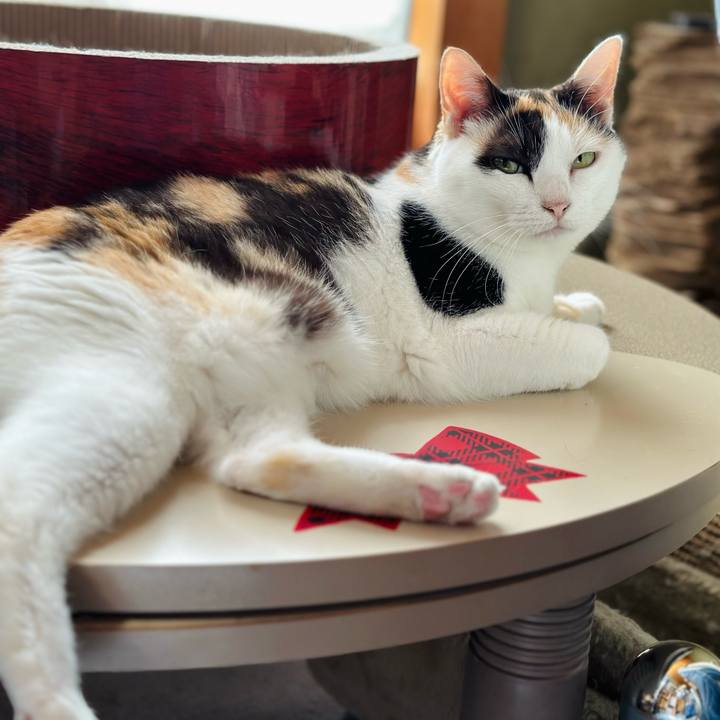 82e3ed42 85df 4de6 b8c1 a8fc37d460b1 1692494074695