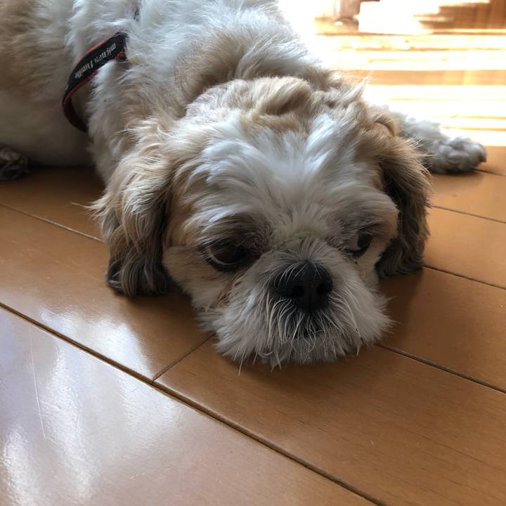 82e413da c9c1 41e1 bfb3 6827ab921c7d 1570251398859