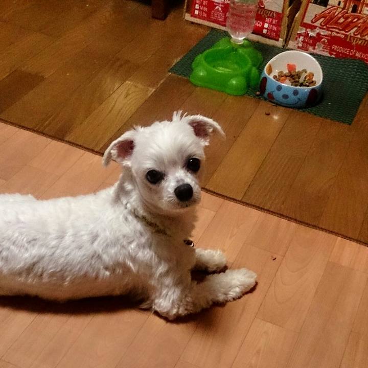 82e41605 e475 4453 999a 0622ea550d70 1514031971867