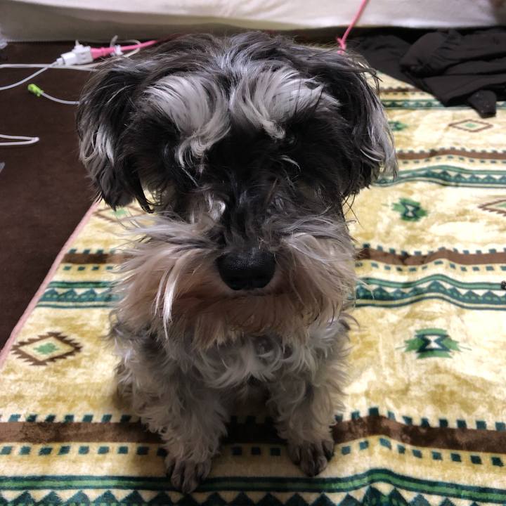 82e41796 7b31 4bf6 a76b 300ef70f3e1c 1554500058354