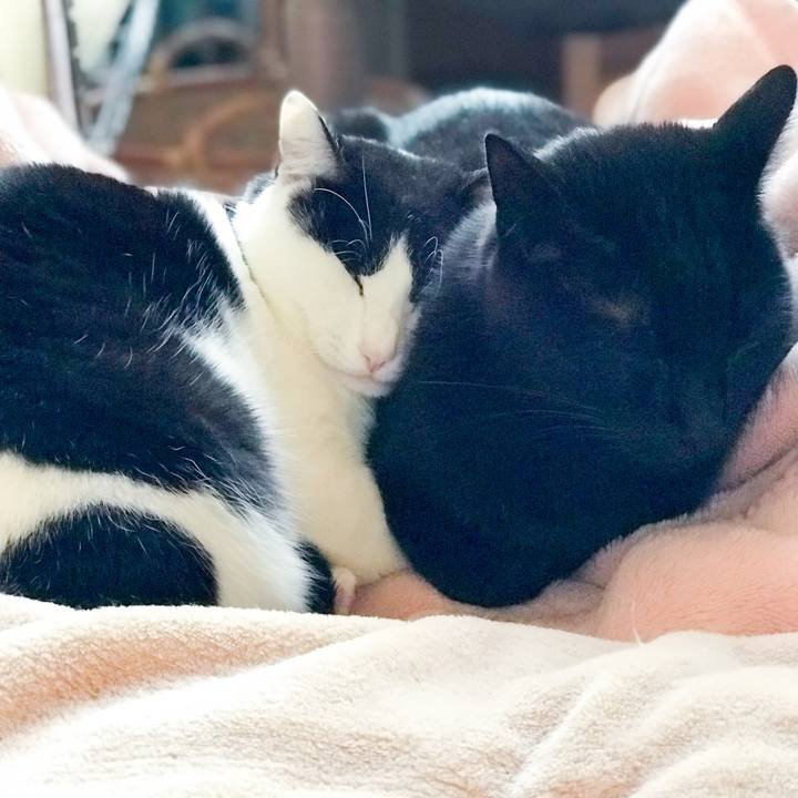 82e44f0b 1d80 449f b1b5 f31a3180426b 1513385413719