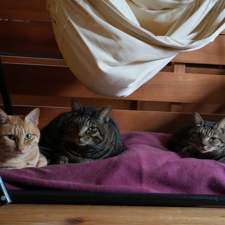 82e45e9c 993e 4b5e 9014 f7c0d37c74b6 1730895239766