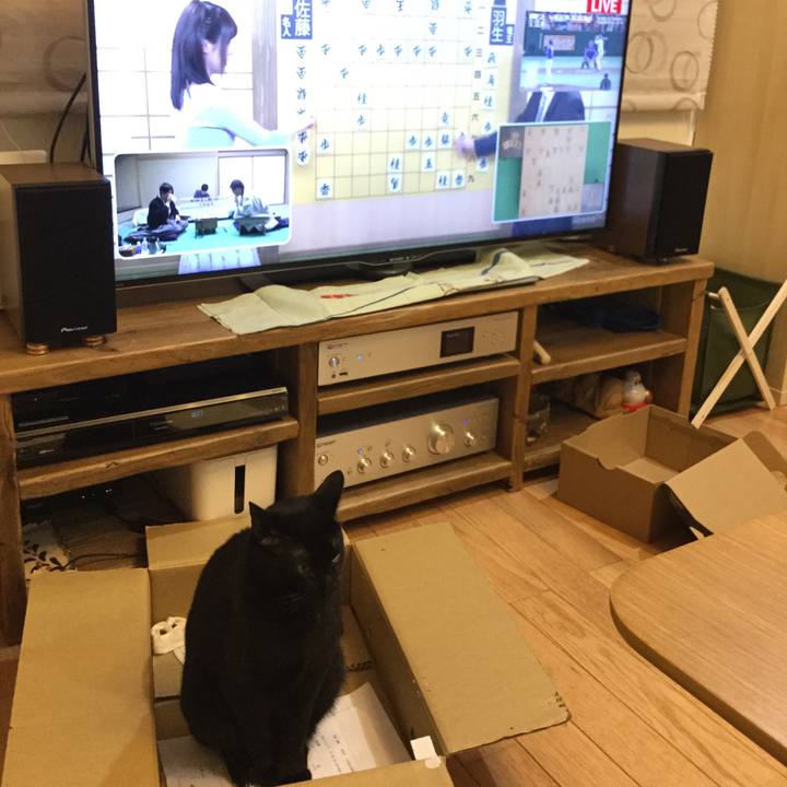 82e48eb9 6625 4040 b566 e3a914842519 1523542182320