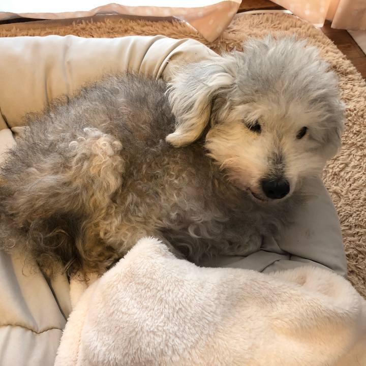 82e4d3c0 0bcc 41dc 837a bca88977611c 1638139417000