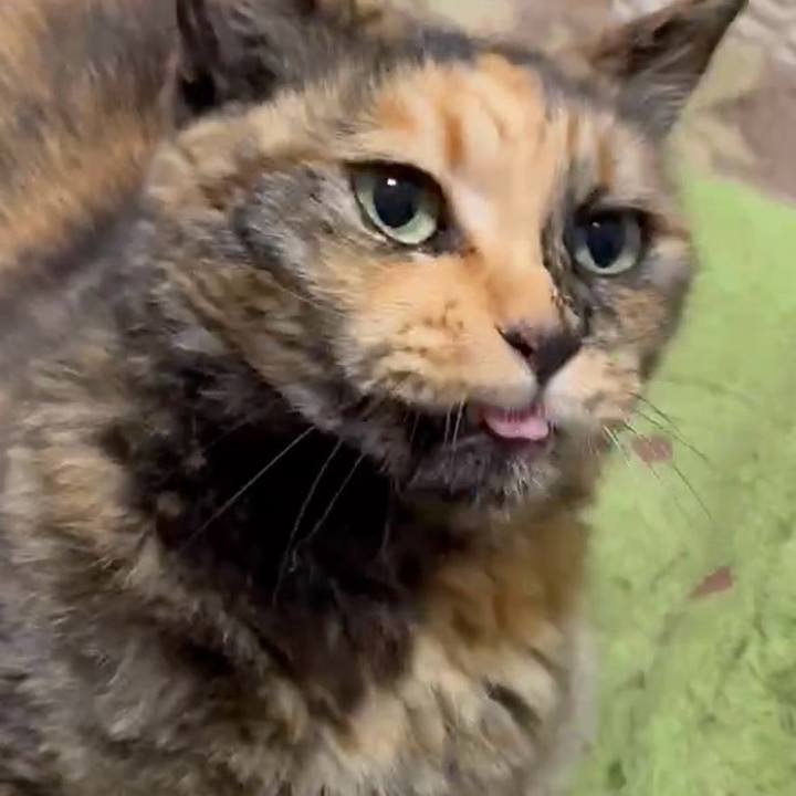 82e4e1f7 20a6 4f8d ae47 d6de63f30d85 1748120407675