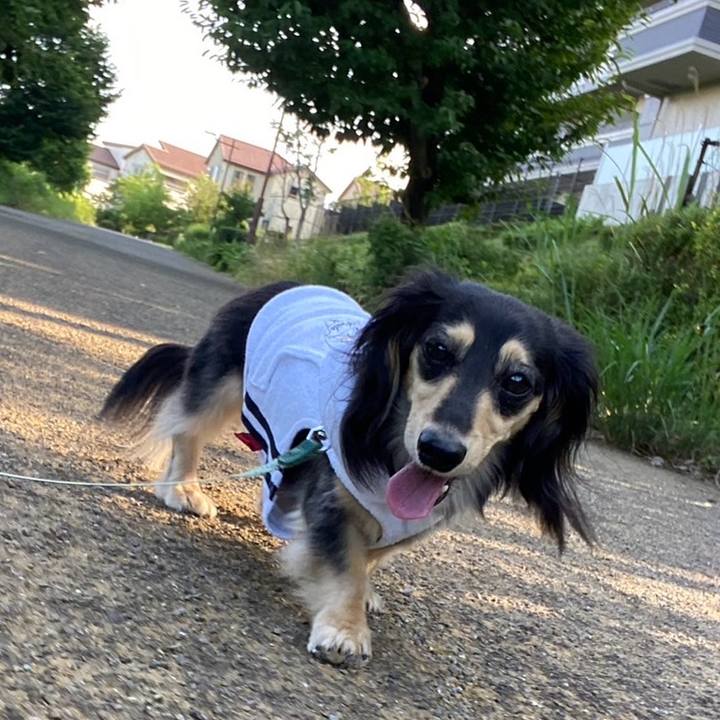 82e4efca 08ab 4fbf 8a5e 43e1ce3dad72 1750198996306