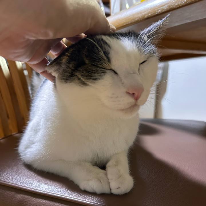 82e4ff3a 6b1d 4d8b a488 64d6ef343e44 1722950743169