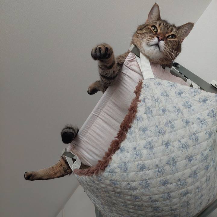 82e50dc5 fc3a 4b74 b991 fccef656e373 1695000522507