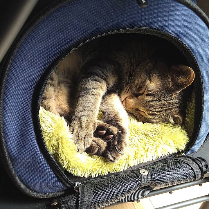 82e51ead d646 41de 9d9e ce9ea17ce05e 1682555416882