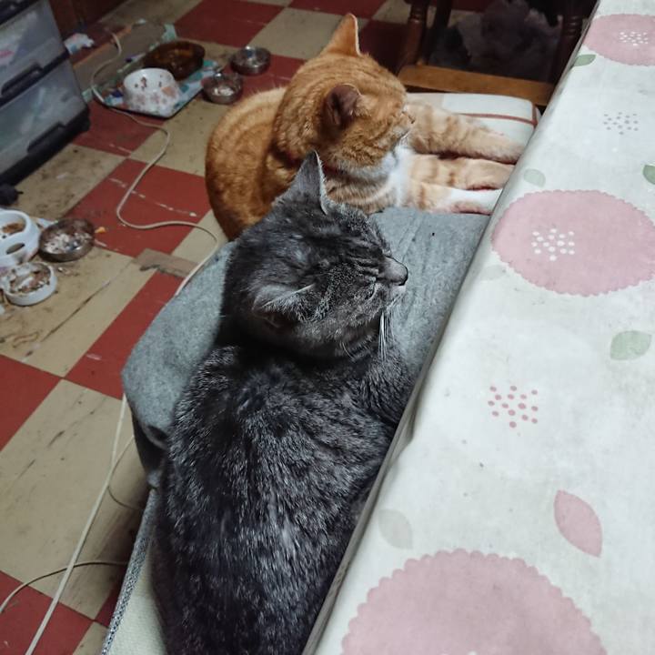 82e56c6a dcd0 4d81 beb8 cde5cb36a66e 1577771159157