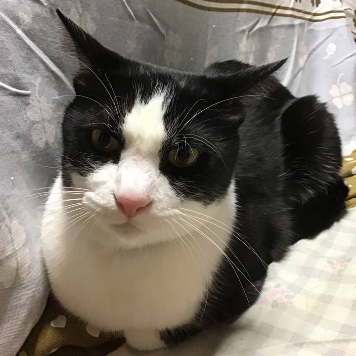 82e58494 7636 4f5d a173 a568cc88bbd9 1734165935892