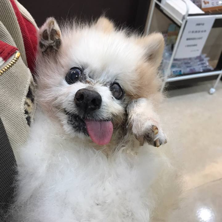 82e5d90a 3832 4073 985b 325a5688b530 1541611026363