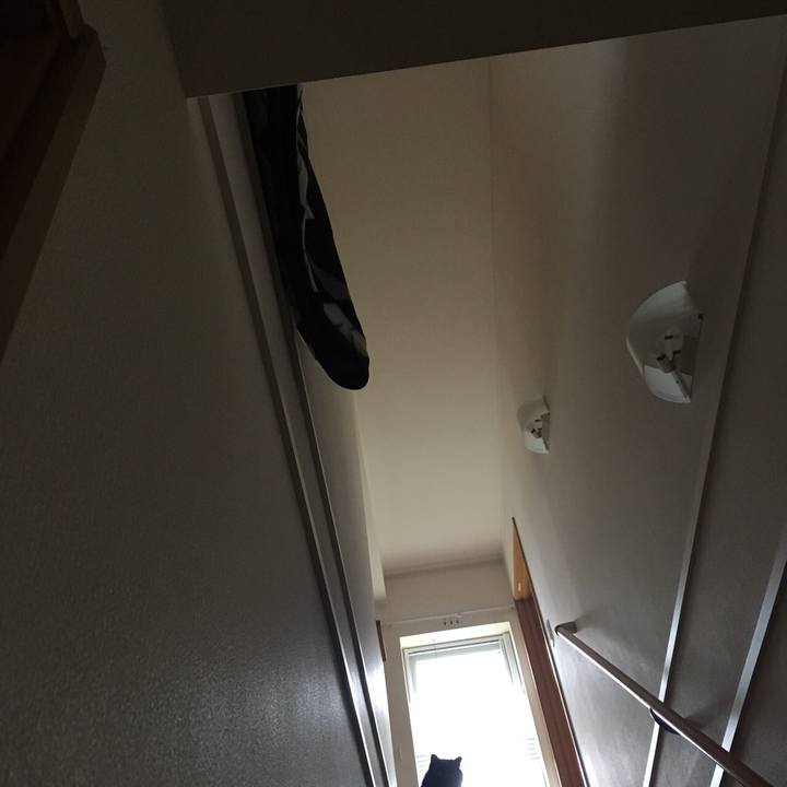 82e60167 2e29 40c9 9283 1c158872f8ea 1530920622594