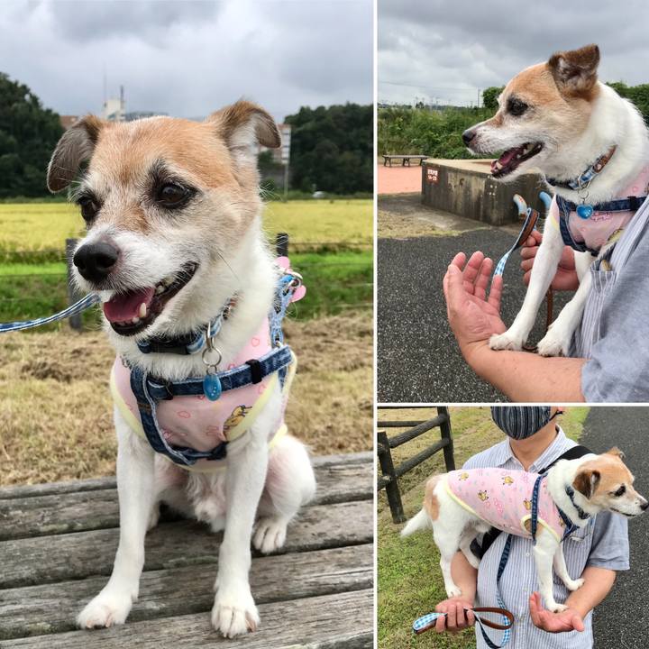 82e60666 63bc 472f a76c c3cee76a363d 1631331012207