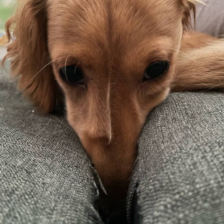 82e62d41 d33a 4e3d bfdf 967ef580a951 1690180540518