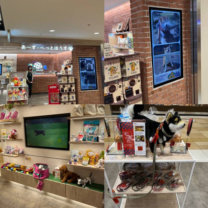 82e65e54 bea9 4d6b ba03 6684d856bc0c 1653619414735