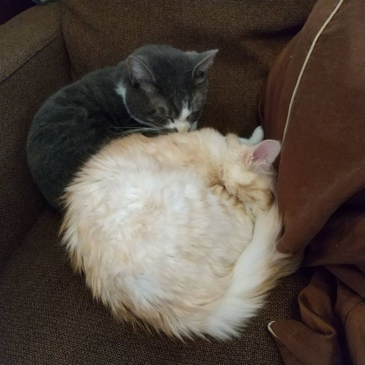 82e69a1d 32c3 4986 a1d4 d94582c797f6 1610253457255